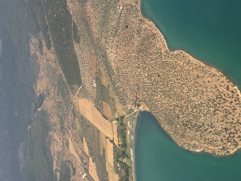 Yukarıdan kıyı: koyun turkuaz suyu ve zeytinlik parselleri.